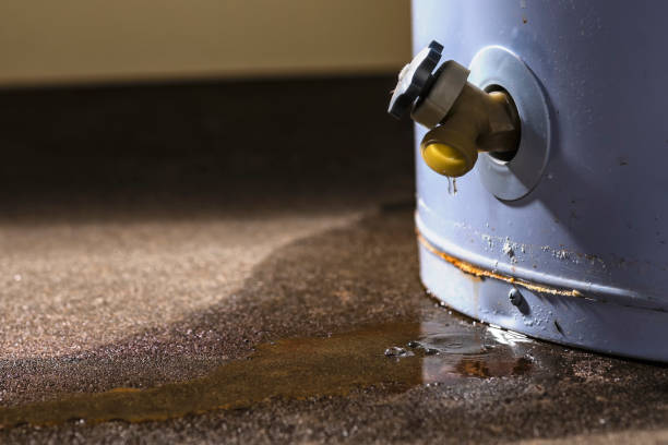 Trusted Pine Hills, CA Water damage restoration Experts