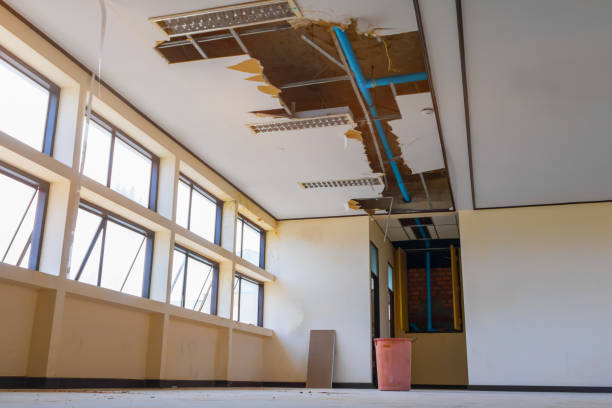 Best 24-hour water damage restoration  in Pine Hills, CA