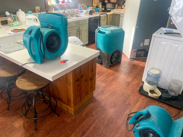 Best Water damage restoration near me  in Pine Hills, CA