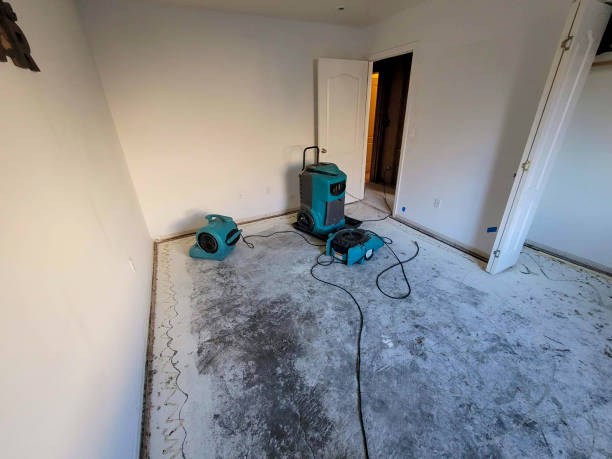 Best Flood damage cleanup  in Pine Hills, CA