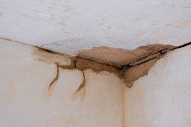  Pine Hills, CA Water damage restoration Pros