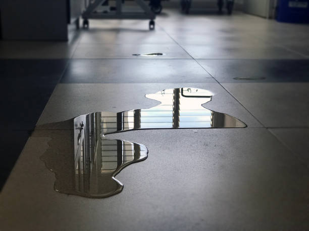 Best Water damage cleanup near me  in Pine Hills, CA