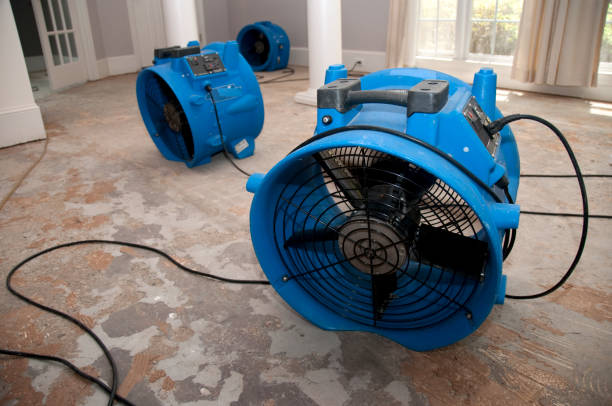 Best Mold removal after water damage  in Pine Hills, CA