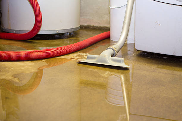 Best Water damage restoration insurance claims  in Pine Hills, CA