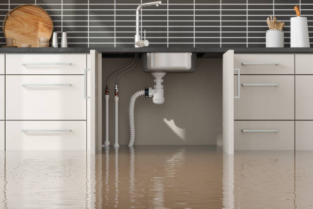 Best Flooded house restoration  in Pine Hills, CA