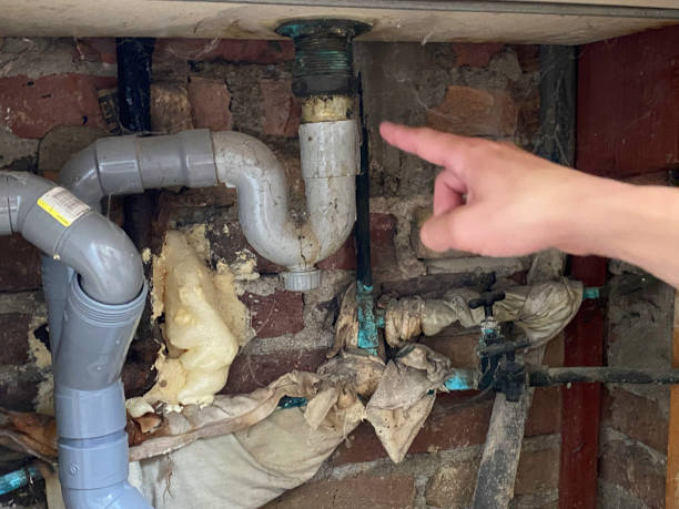 Best Local water damage restoration  in Pine Hills, CA