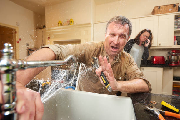 Best Fire Damage Restoration  in Pine Hills, CA
